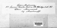Image Associated With the Occurrence